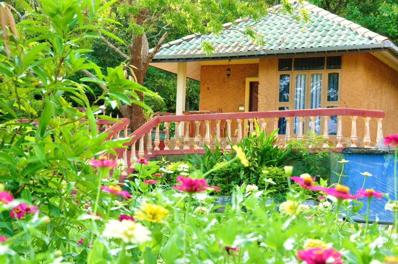 Kodigahawewa Forest Resort Tissamaharama Exteriör bild